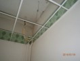/album/fara-/p7190131-jpg/