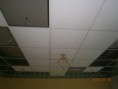 /album/fara-i/p7300201-jpg/